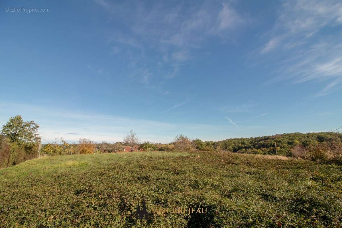 Terrain à TRONCENS