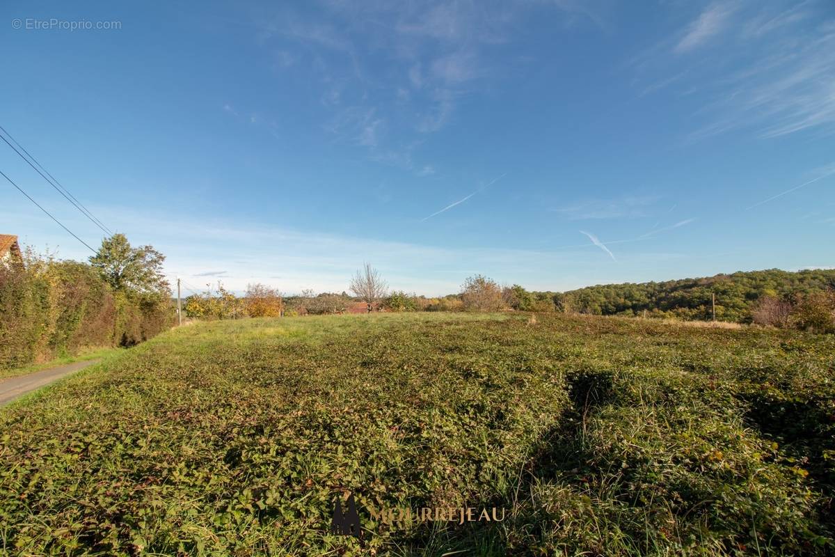 Terrain à TRONCENS