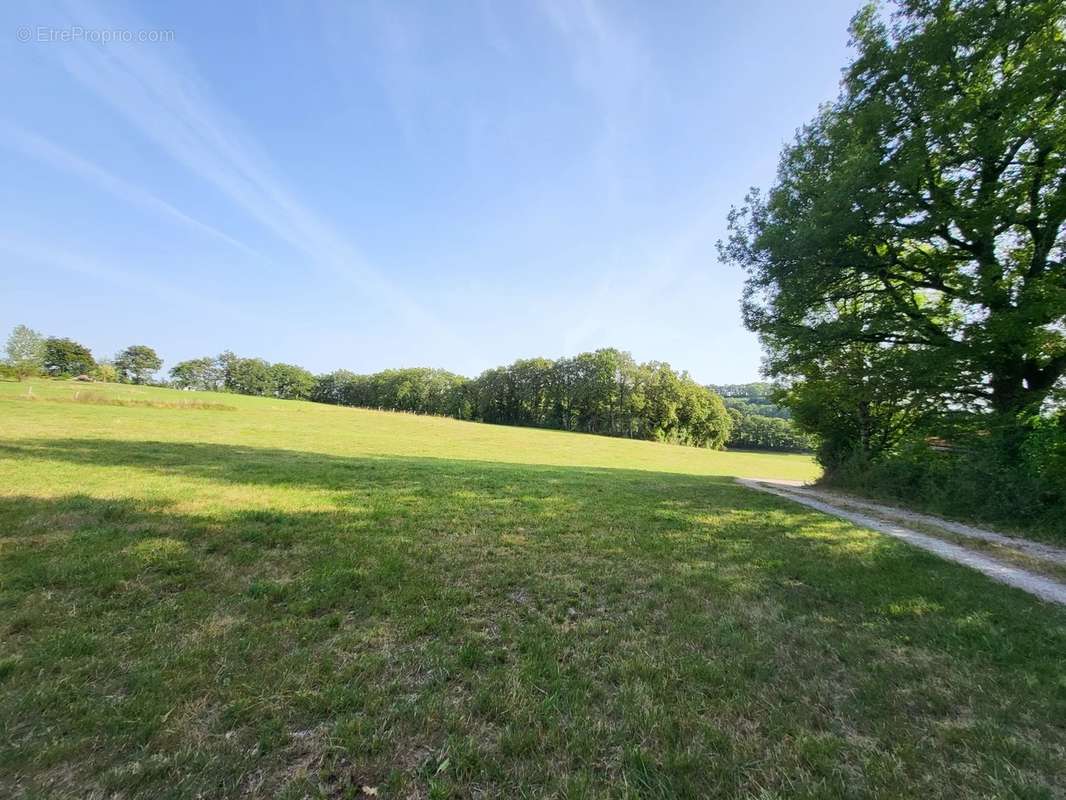 Terrain à CAYLUS