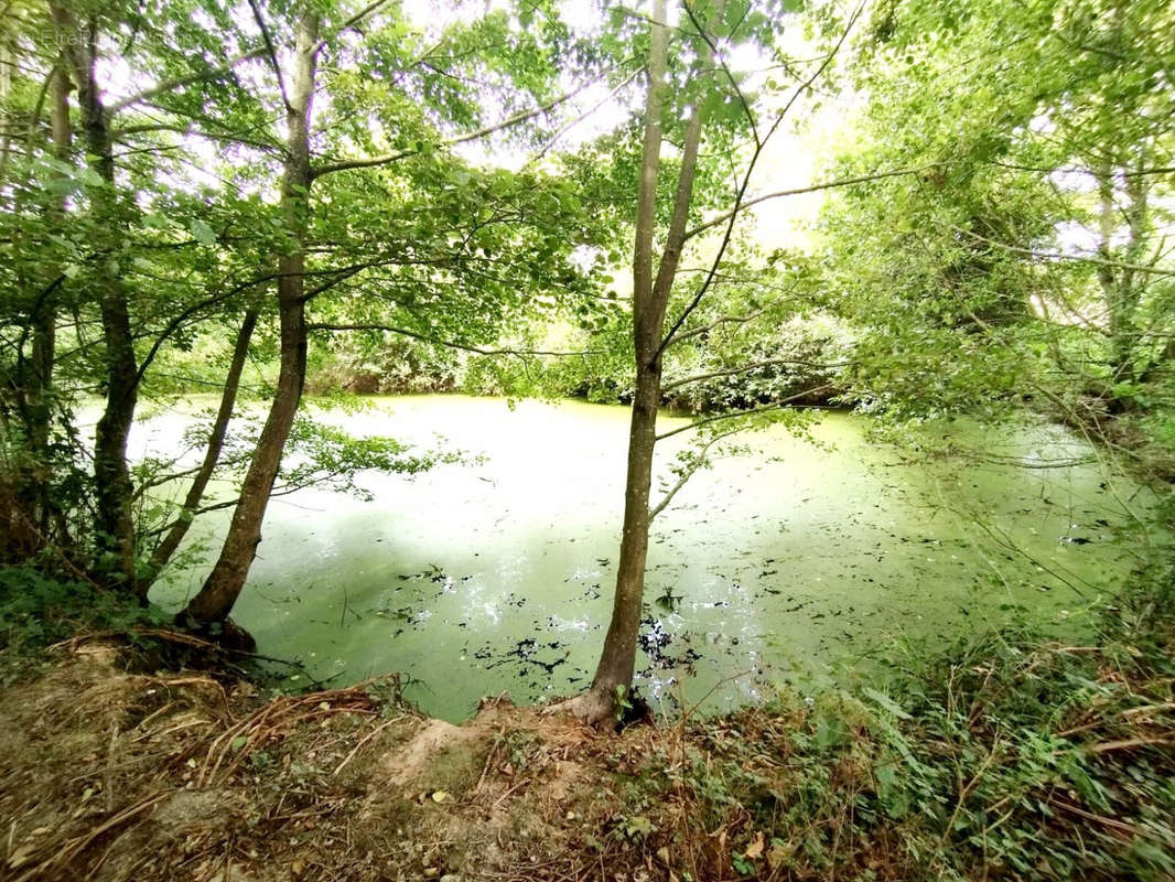 Terrain à SAINT-CHRISTOPHE-DU-LIGNERON