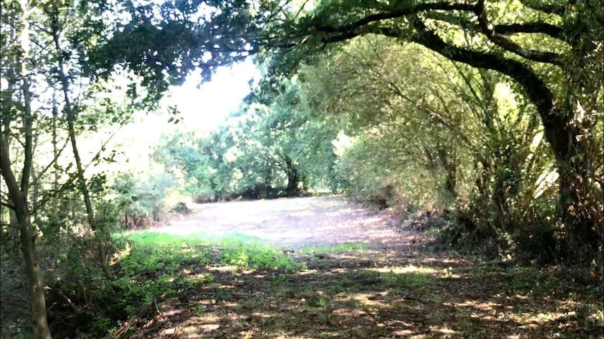 Terrain à SAINT-CHRISTOPHE-DU-LIGNERON