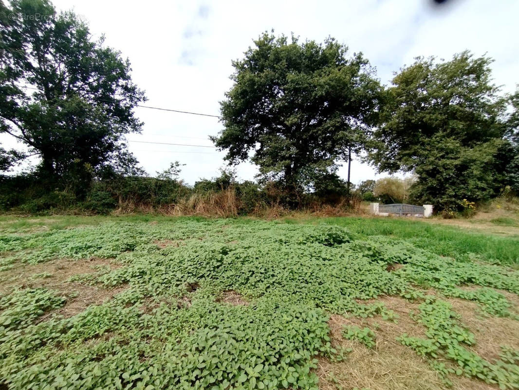 Terrain à SAINT-CHRISTOPHE-DU-LIGNERON