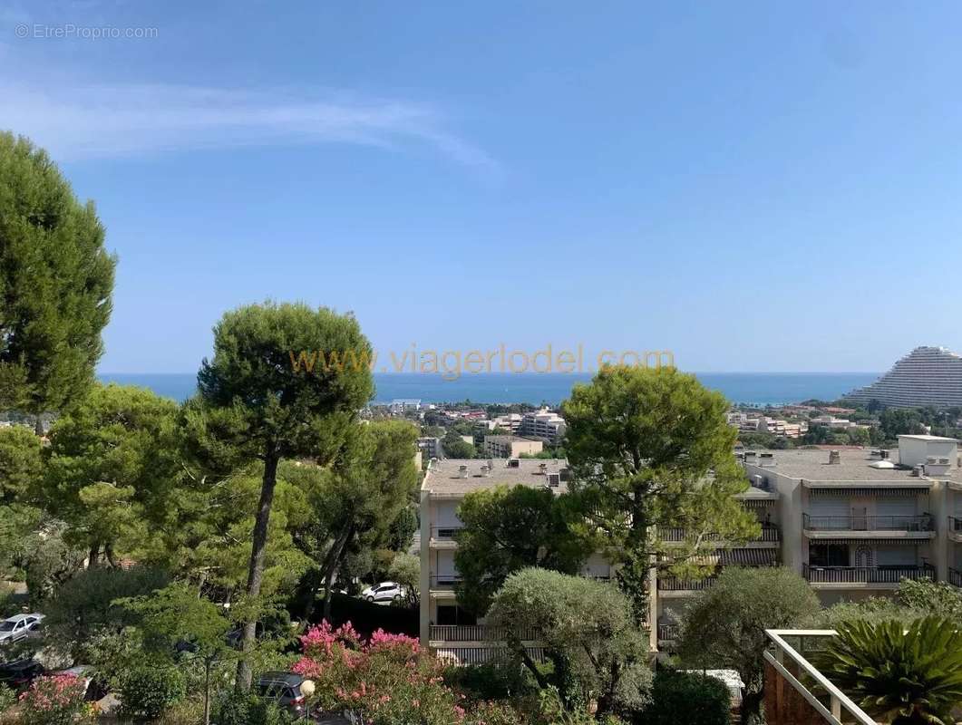 Appartement à VILLENEUVE-LOUBET