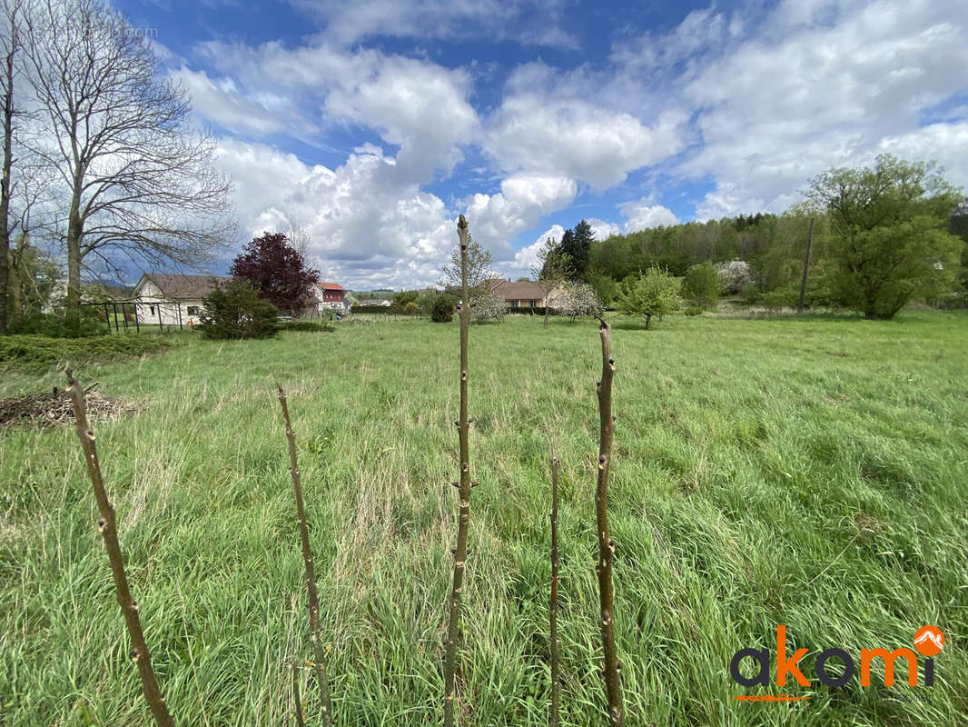 Terrain à SAINT-LEONARD