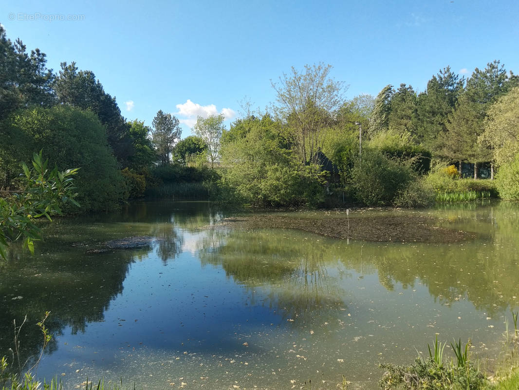 Terrain à TALMONT-SAINT-HILAIRE