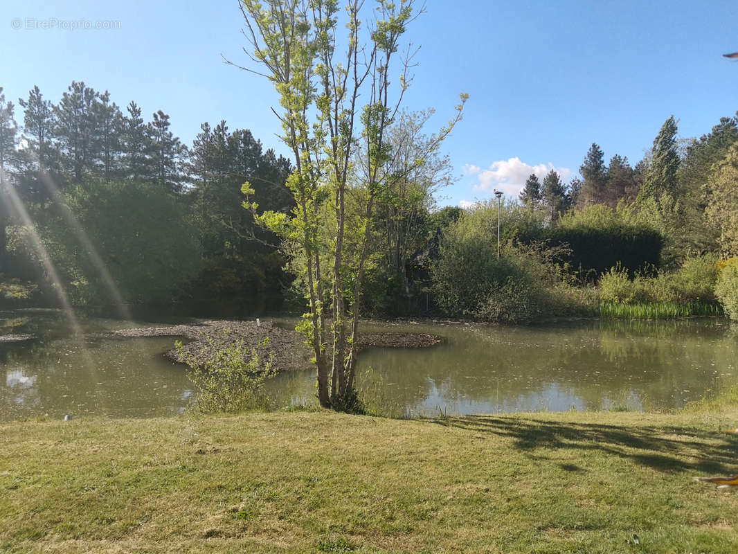 Terrain à TALMONT-SAINT-HILAIRE