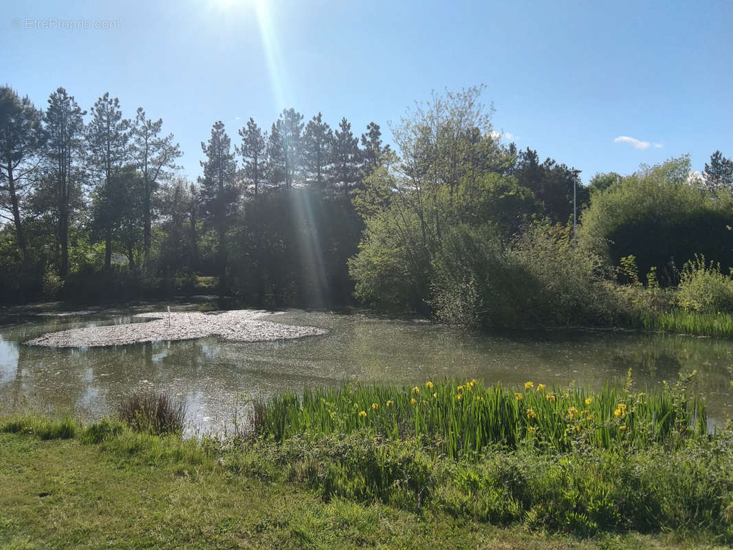 Terrain à TALMONT-SAINT-HILAIRE