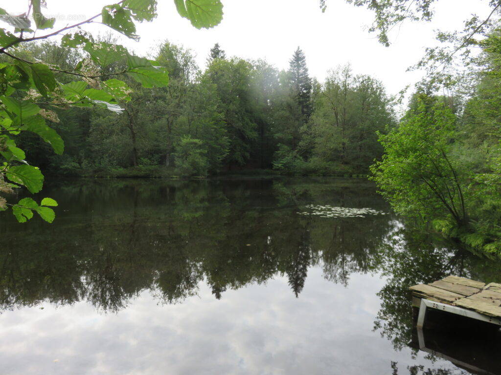 Terrain à TERNUAY-MELAY-ET-SAINT-HILAIRE