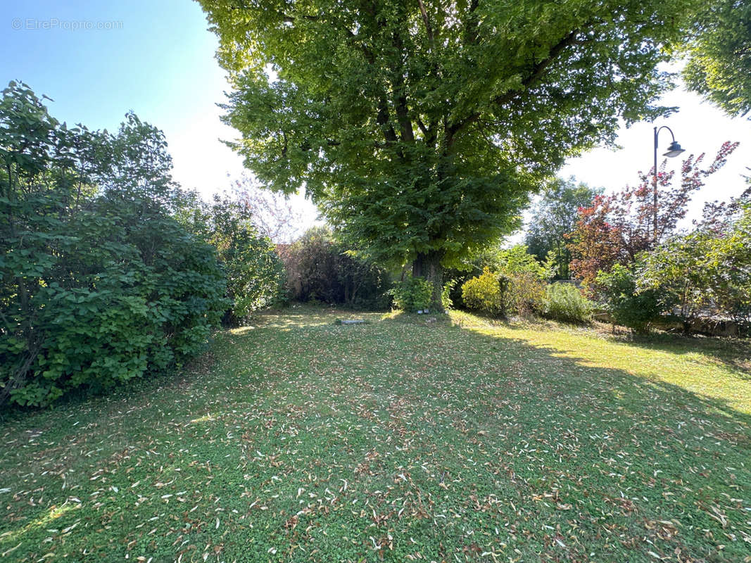 Maison à PUISIEULX