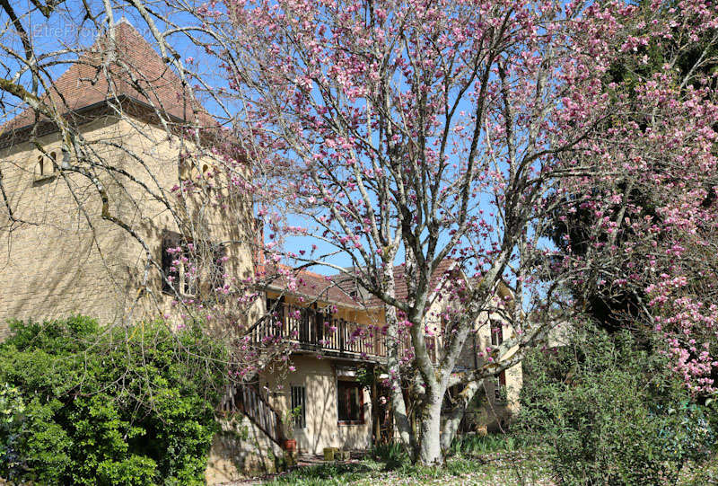 Maison à COUZE-ET-SAINT-FRONT