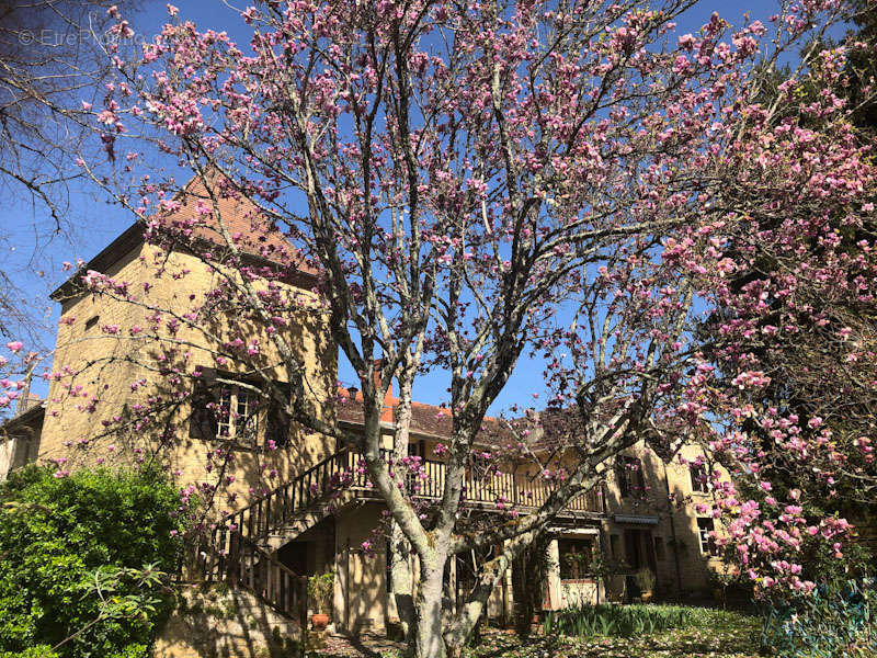 Maison à COUZE-ET-SAINT-FRONT