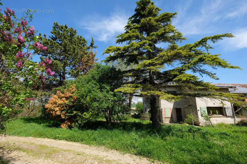 Maison à CARAMAN