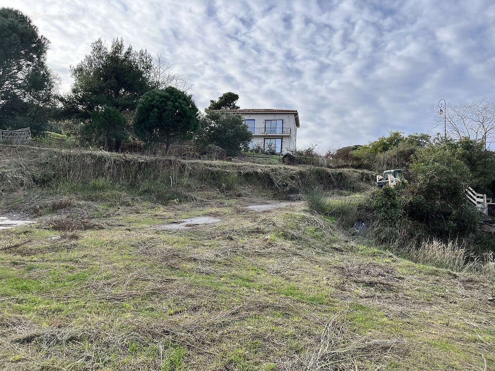 Maison à COLLIOURE