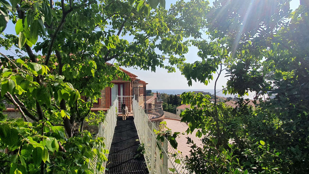 Maison à COLLIOURE