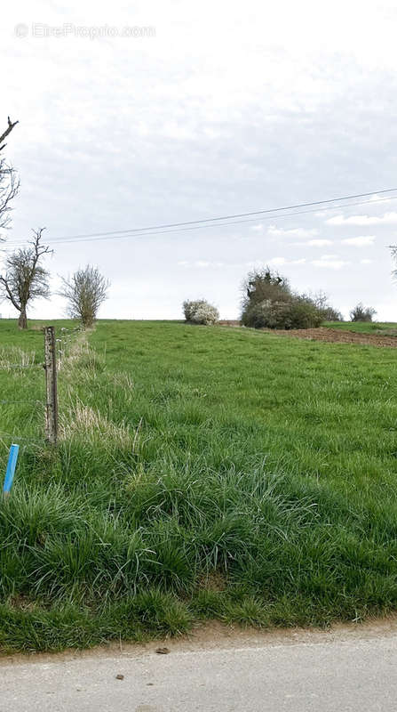 Terrain à ROUSSY-LE-VILLAGE