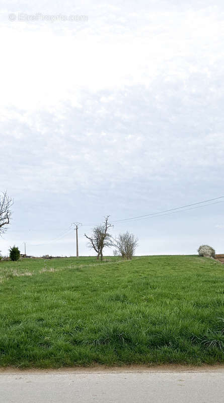 Terrain à ROUSSY-LE-VILLAGE