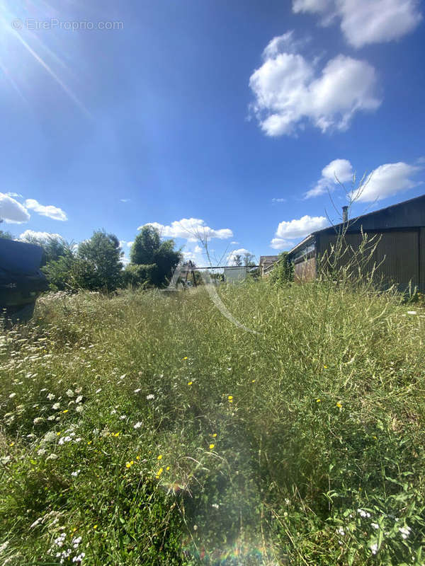 Terrain à VIELS-MAISONS