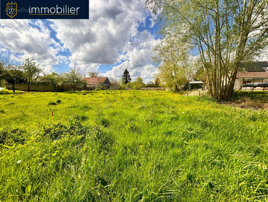 Terrain à BELLOY-SUR-SOMME