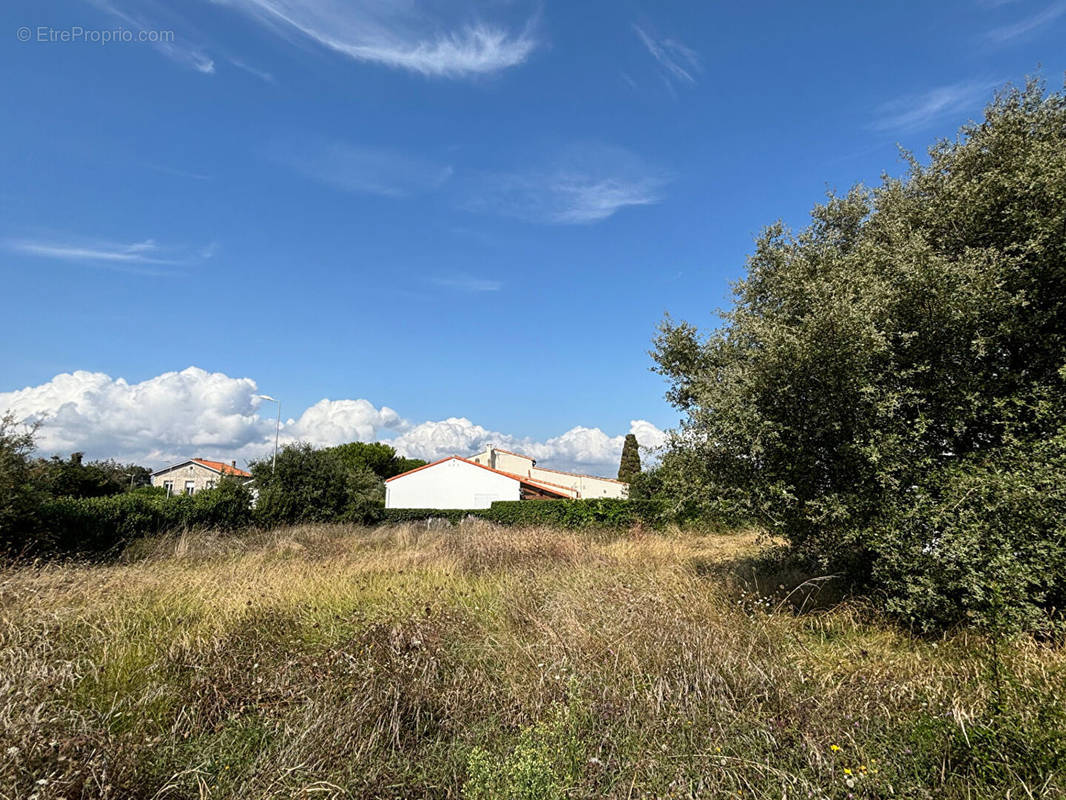 Terrain à VAUX-SUR-MER