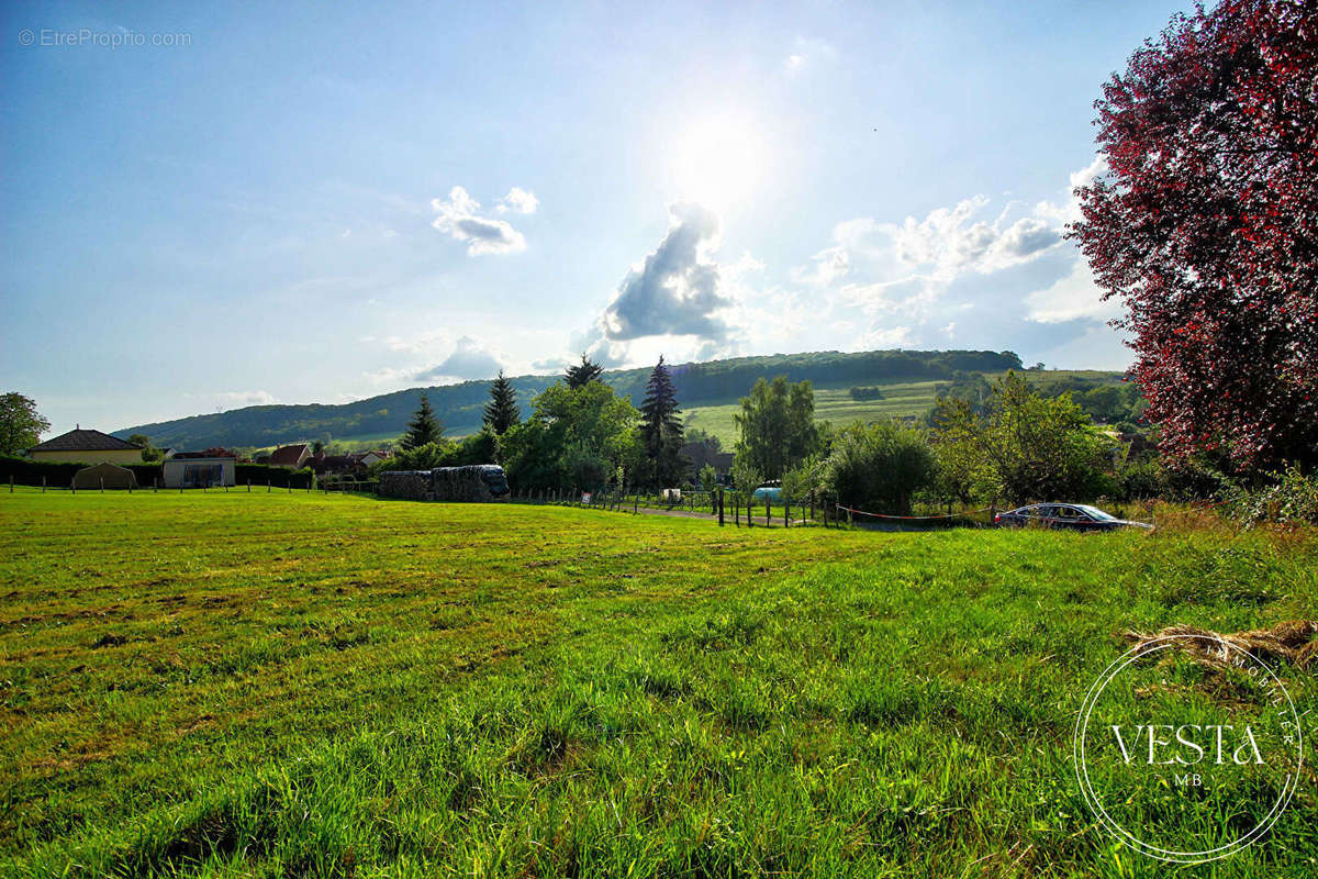 Terrain à BLAISY-BAS