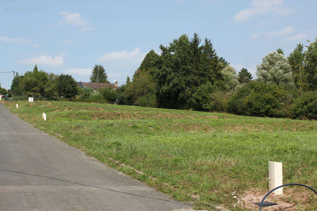 Terrain à MONTCEAU-LES-MINES