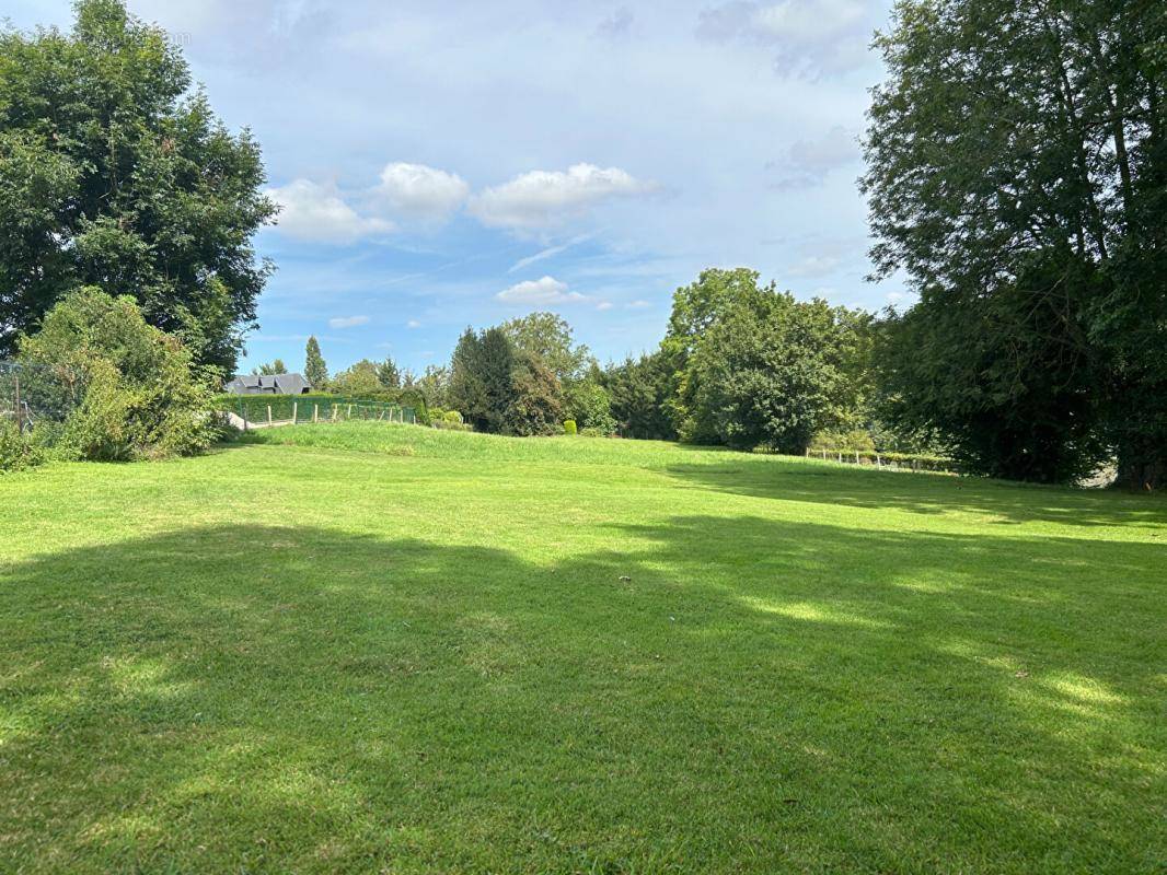 Terrain à SAINT-SYMPHORIEN