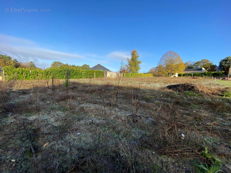 Terrain à SEICHES-SUR-LE-LOIR