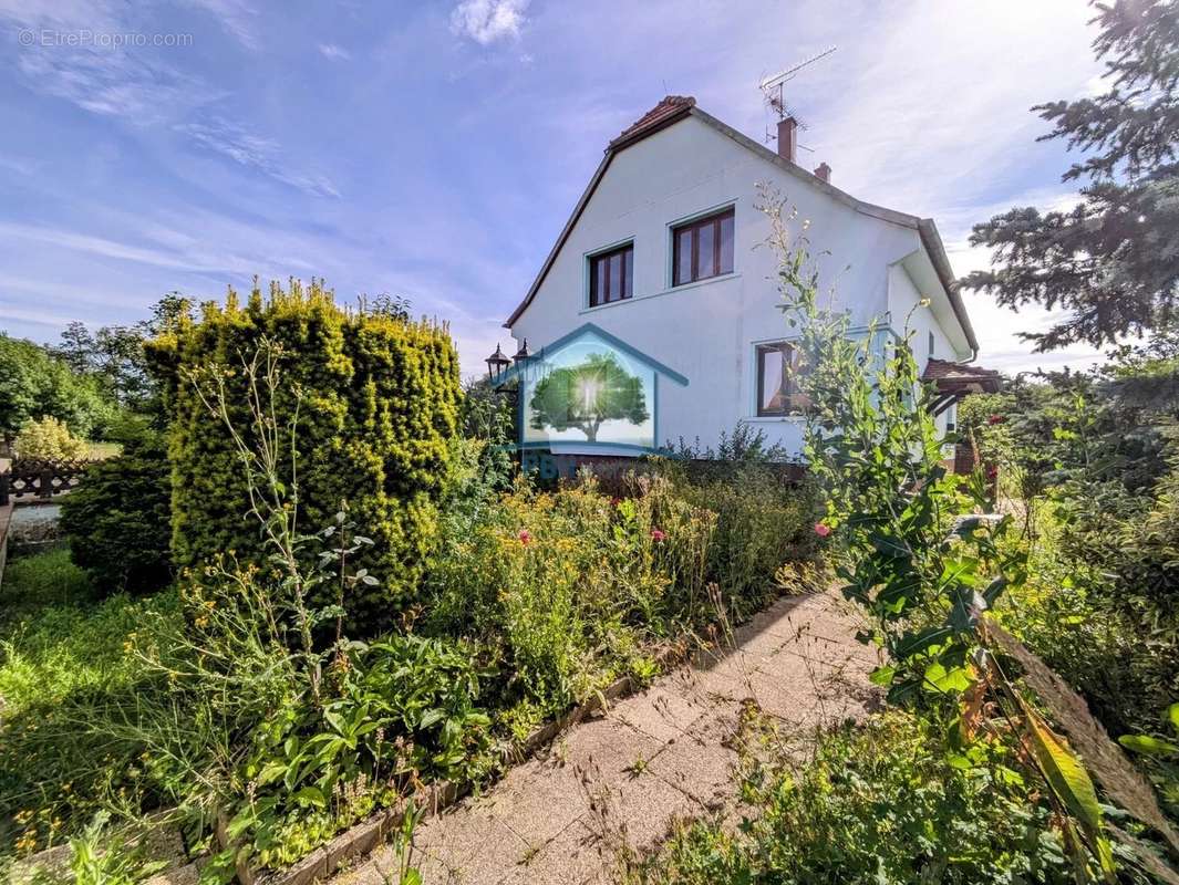 Maison à OBERMODERN-ZUTZENDORF