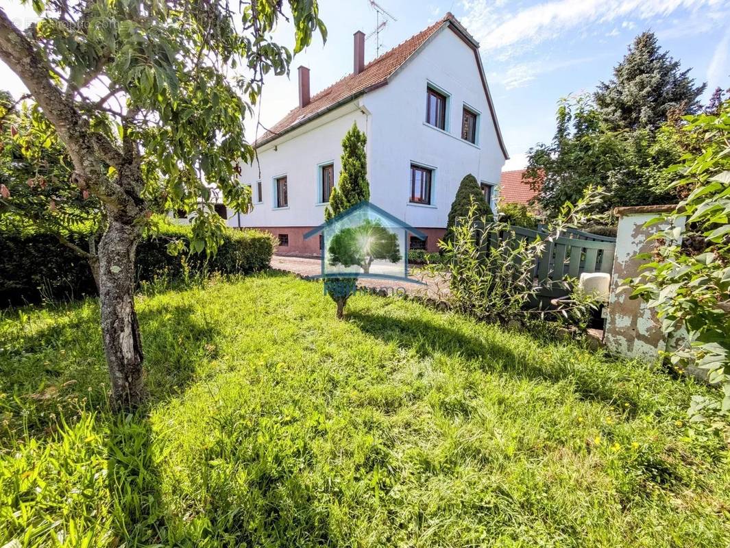 Maison à OBERMODERN-ZUTZENDORF