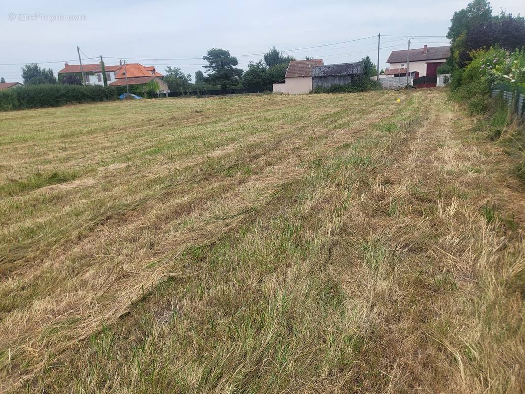 Terrain à SAINT-PRIEST-D&#039;ANDELOT