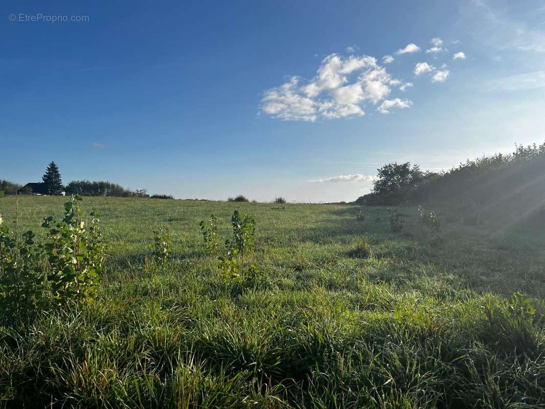 Terrain à VENEUX-LES-SABLONS