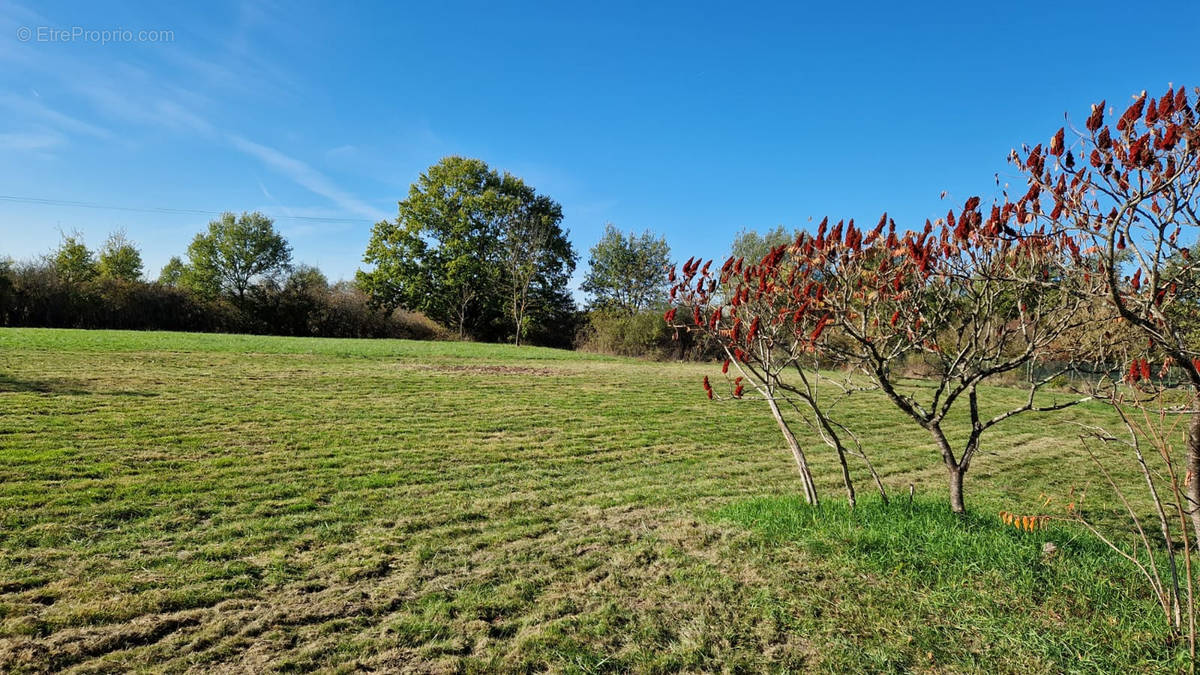 Terrain à SAINT-ETIENNE-DE-TULMONT