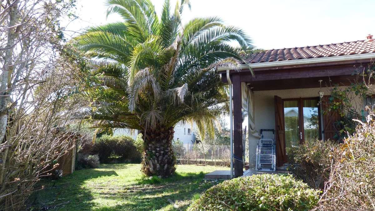 Maison à TARBES