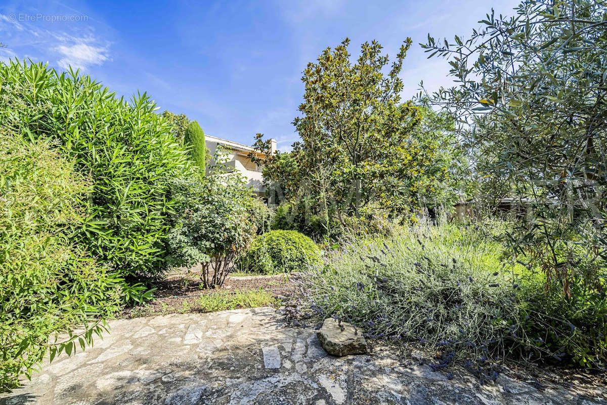 Maison à SAINT-REMY-DE-PROVENCE