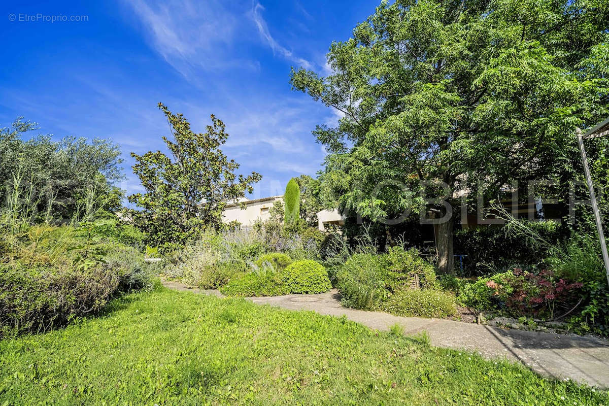 Maison à SAINT-REMY-DE-PROVENCE