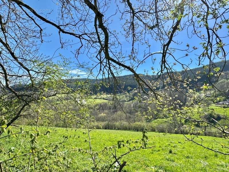 Terrain à SAINT-PRIEST-LA-PRUGNE