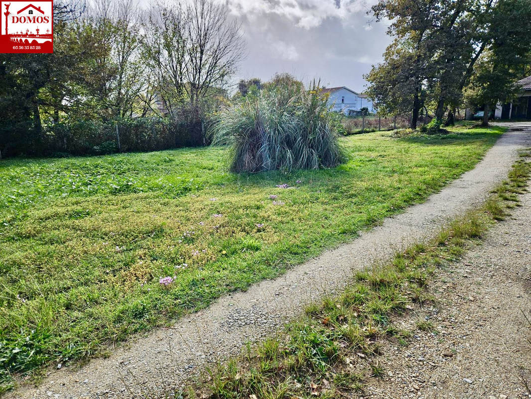 Terrain à LE PIAN-MEDOC