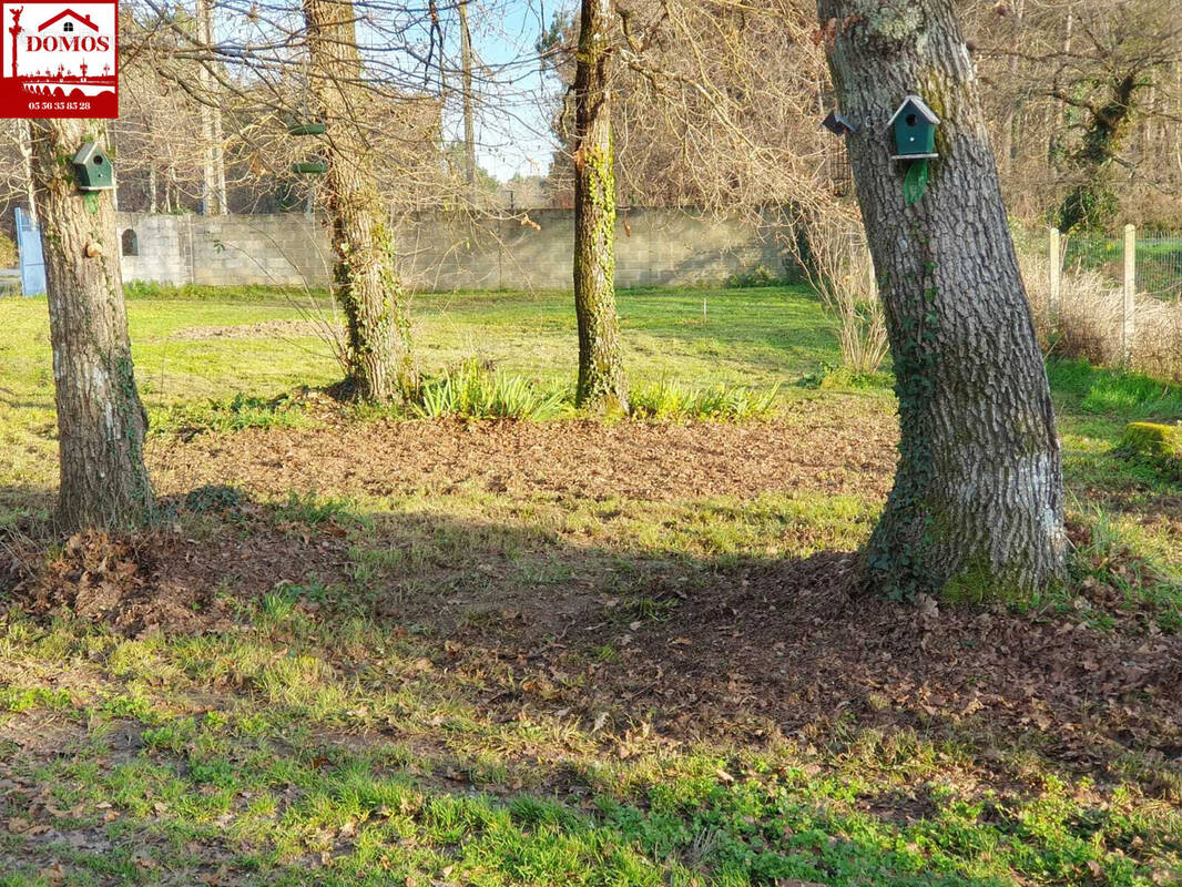 Terrain à LE PIAN-MEDOC