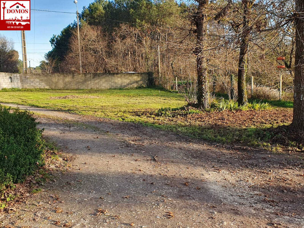 Terrain à LE PIAN-MEDOC