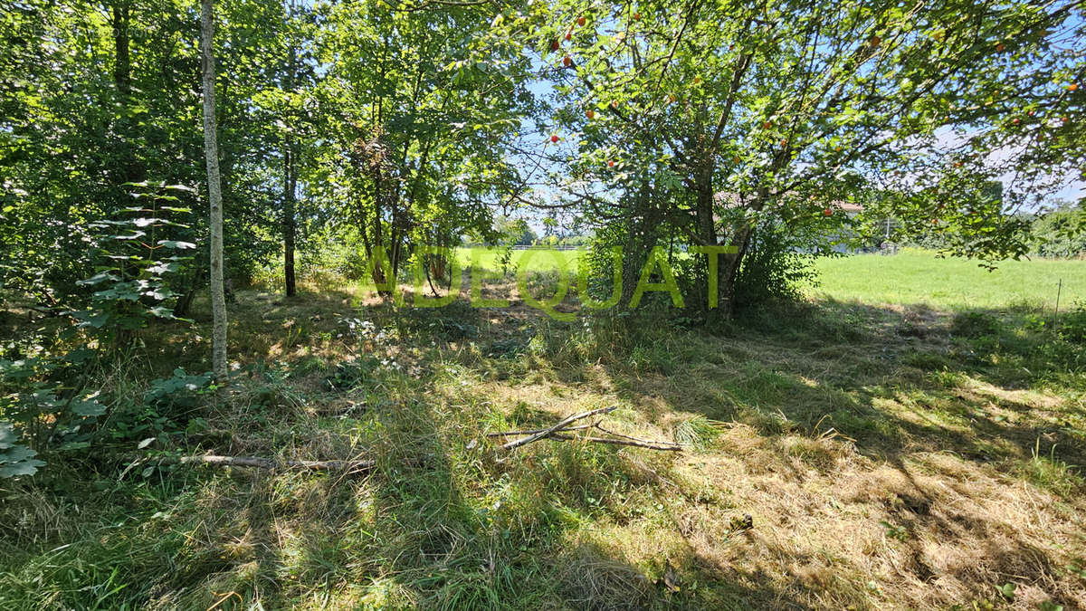 Terrain à LA BATIE-MONTGASCON