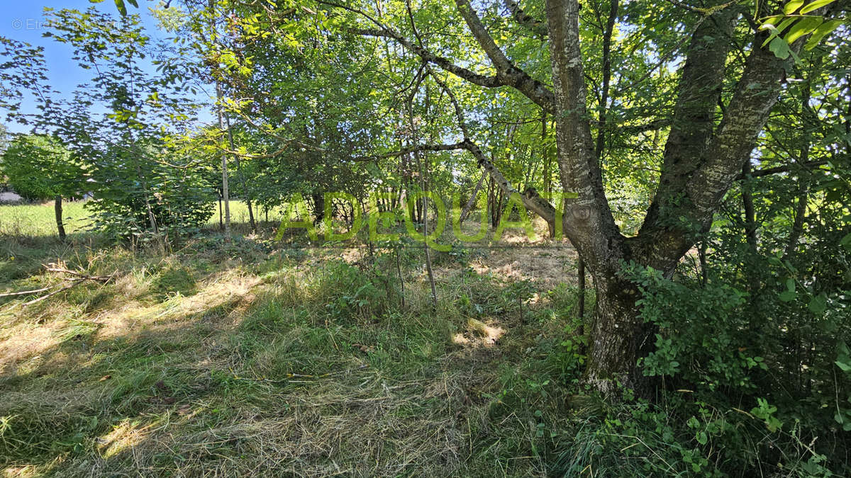 Terrain à LA BATIE-MONTGASCON