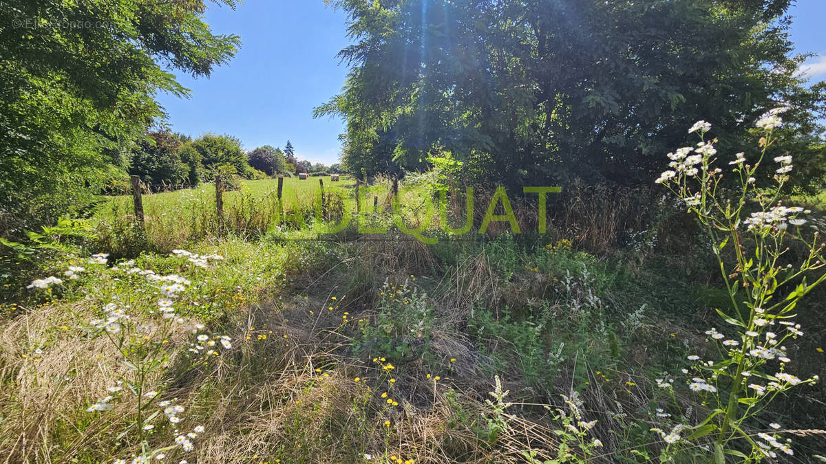 Terrain à LA BATIE-MONTGASCON