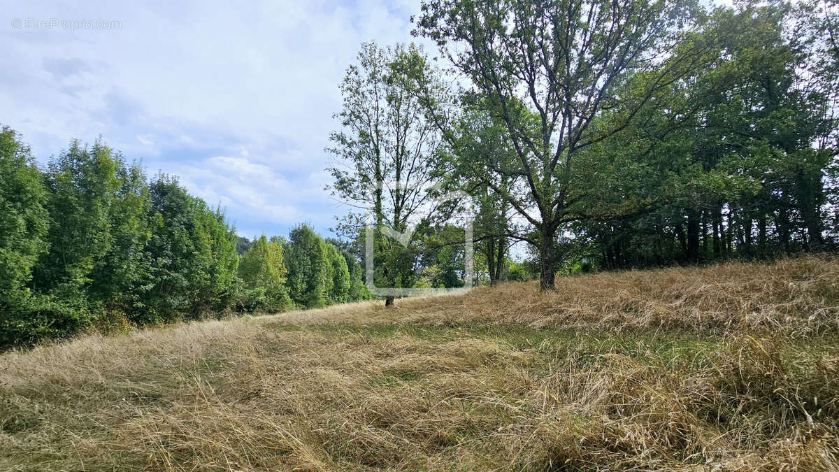 Terrain à VIGNOLS