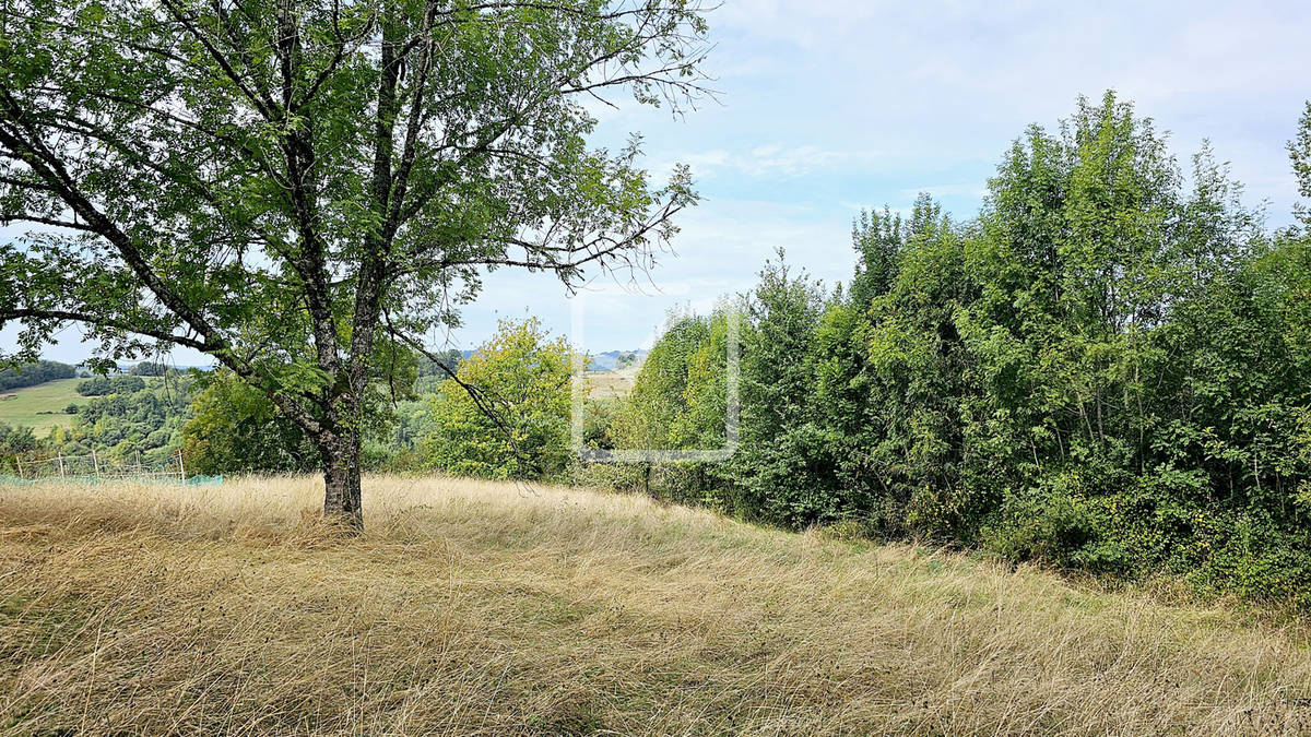 Terrain à VIGNOLS