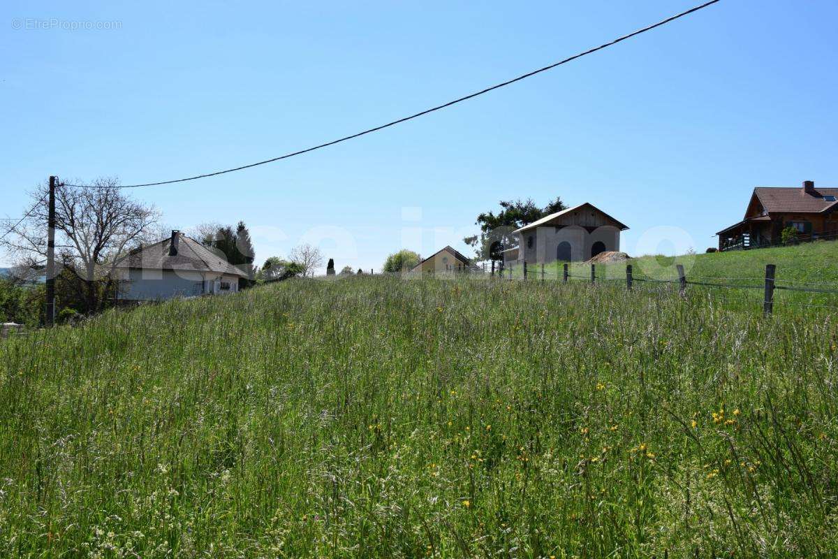 Terrain à SAULNOT