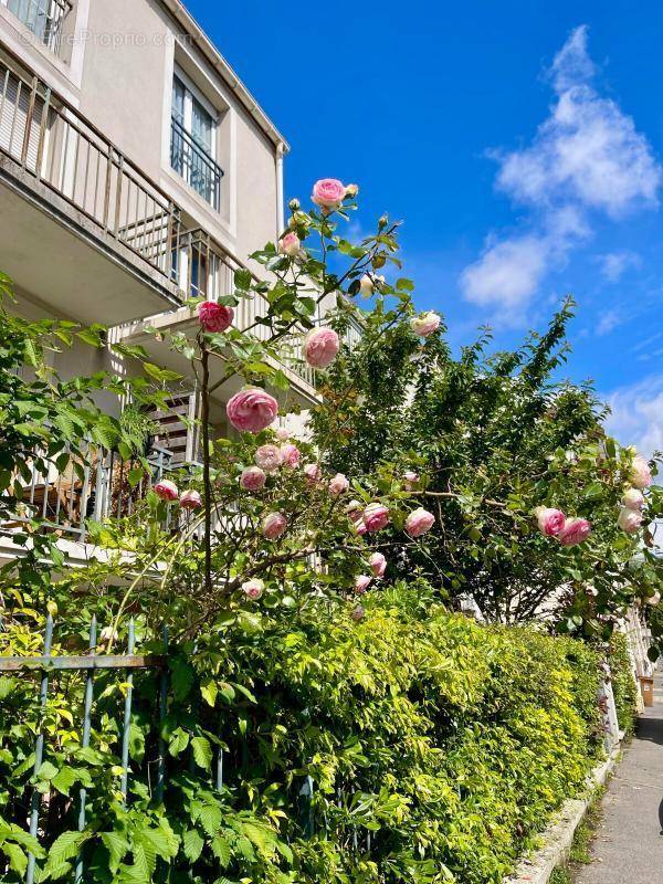 Appartement à MONTREUIL