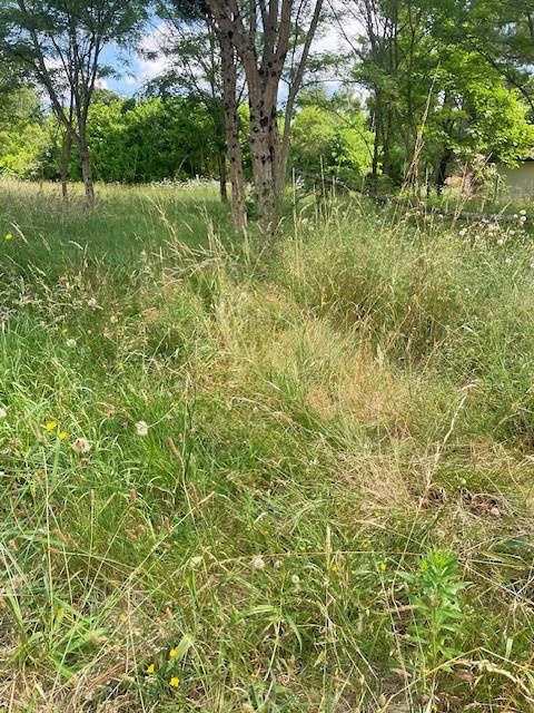 Terrain à BAZAS