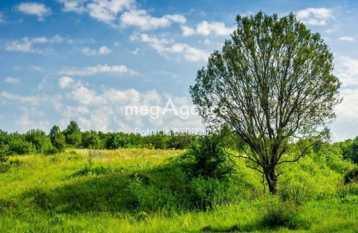 Terrain à BONNEUIL-SUR-MARNE