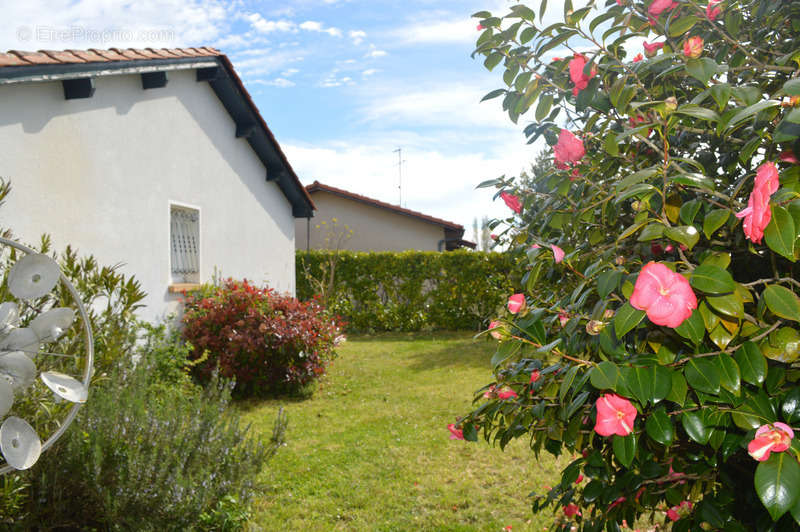 Maison à LA TESTE-DE-BUCH