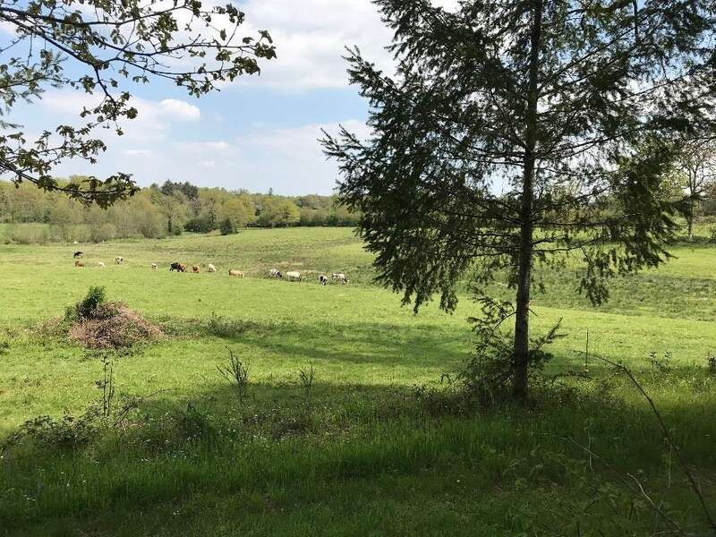 Terrain à VEYRAC